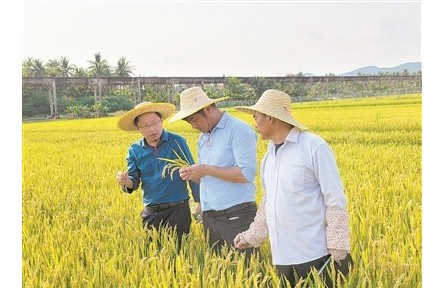 40年南北遷徙，育種人無(wú)問(wèn)西東——記江蘇里下河地區(qū)農(nóng)業(yè)科學(xué)研究所水稻育種團(tuán)隊(duì)