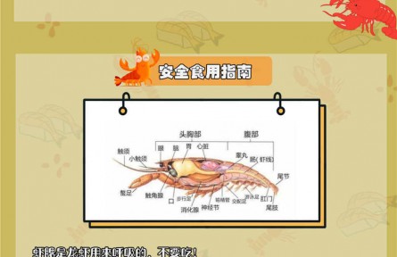 小龍蝦自帶寄生蟲？體內(nèi)藏著重金屬？吃小龍蝦原來有這些講究