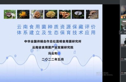 中華全國供銷合作總社昆明食用菌研究所“云南食用菌種質(zhì)資源收集保存、鑒定評價和生態(tài)促繁技術(shù)應(yīng)用”成果評價公告【2022（47號）】