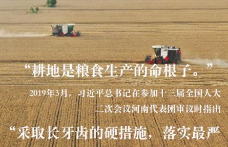 習近平總書記關(guān)切事|藏糧于地、藏糧于技，筑牢豐收之基