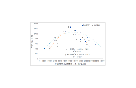 10.密植夏玉米籽粒機械收獲生產(chǎn)技術(shù)規(guī)程