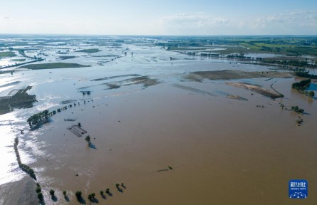 記者五常農(nóng)田實(shí)地探訪：強(qiáng)降雨對五常大米有何影響？