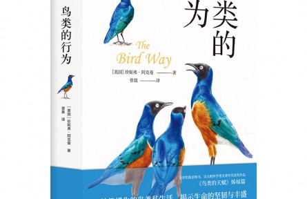 妙趣橫生的鳥類私生活，顛覆你的傳統(tǒng)認(rèn)知