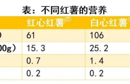 辟謠 |“吃烤紅薯能減肥”“烤紅薯致癌”，到底哪個是真的？