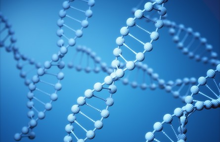 科技名詞 | 分子伴侶  Chaperone，Molecular chaperone