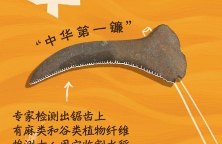 從“鏟鏟盤盤”中，一窺8000年前的豐收?qǐng)D景