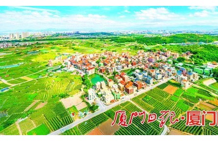 福建廈門：深入學習“千萬工程”經驗 走農業(yè)農村現代化之路
