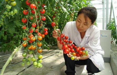 豐收季，來看這個國家農(nóng)業(yè)科技園區(qū)的“黑科技”