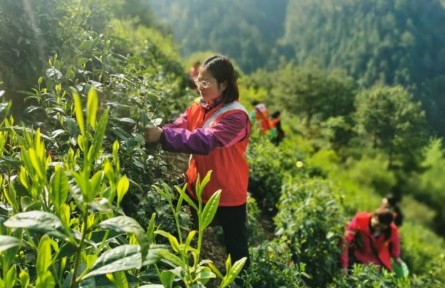 “全國三八紅旗手”江紫霞：多為群眾辦實事，心里踏實
