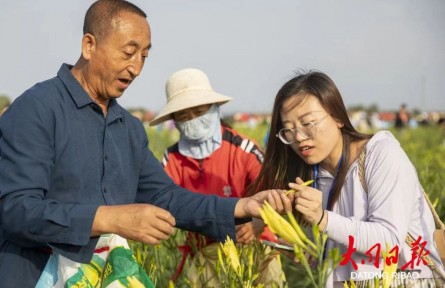 山西大同黃花產(chǎn)業(yè)入選知識產(chǎn)權(quán)強國建設典型案例