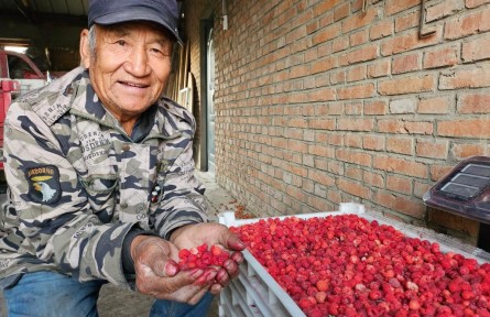 黑龍江甘南：?？h共建 為農(nóng)業(yè)插上科技的翅膀