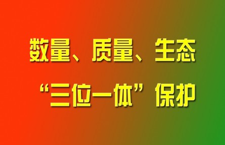 習(xí)近平論強(qiáng)化耕地?cái)?shù)量、質(zhì)量、生態(tài)“三位一體”保護(hù)