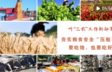 聽“三農(nóng)”工作新部署｜夯實糧食安全“壓艙石”：要吃飽，也要吃好