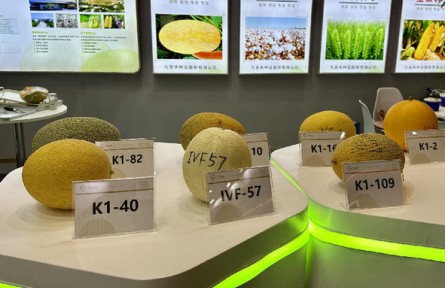 第三屆三亞國際種業(yè)科技博覽會：新品種、新技術(shù)、新設(shè)備展現(xiàn)種業(yè)科技新成果