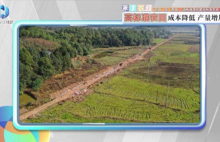 “窄田”變“寬田”，湖南湘潭搶建高標(biāo)準(zhǔn)農(nóng)田