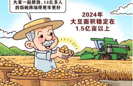 新華鮮報丨中國穩(wěn)糧新看點(diǎn)！ “金豆豆”1.5億畝以上