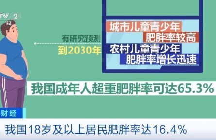 “不吃主食”“光靠運(yùn)動”是減肥誤區(qū)！