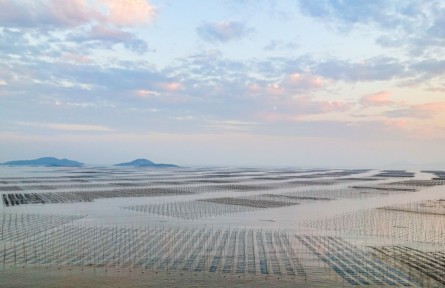 全鏈深耕“藍色糧倉”，豐富“中國飯碗”