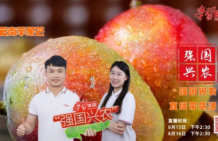 盛夏炎炎，鮮果相伴，“強(qiáng)國(guó)興農(nóng)”直播帶貨活動(dòng)繼續(xù)與您相約