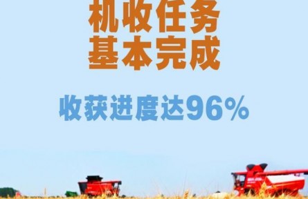 端牢飯碗！全國“三夏”小麥機(jī)收任務(wù)基本完成