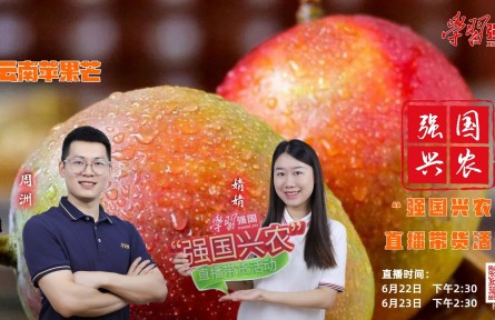 半夏時(shí)光，芒果飄香，明天下午2:30，“強(qiáng)國(guó)興農(nóng)”直播帶貨活動(dòng)邀您收看