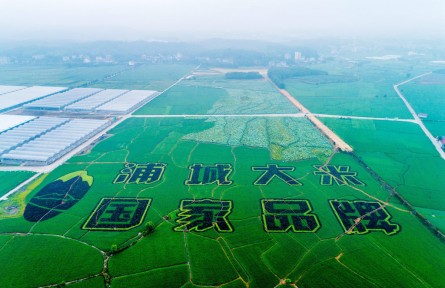 福建浦城：科技賦能，大米產(chǎn)業(yè)邁進(jìn)數(shù)字化時(shí)代