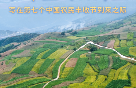 收獲，在希望的田野上——寫在第七個(gè)中國農(nóng)民豐收節(jié)到來之際