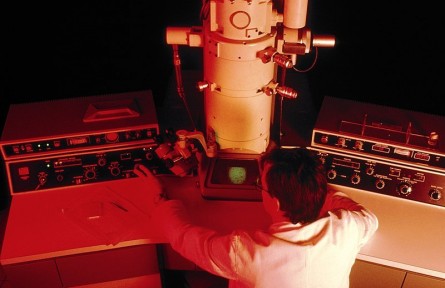 科技名詞|透射電子顯微鏡 transmission electron microscope；TEM