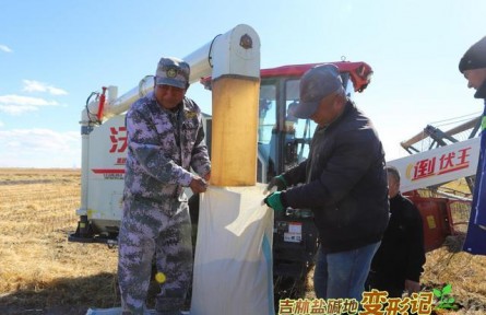 破“堿”重生！吉林鹽堿地變形記