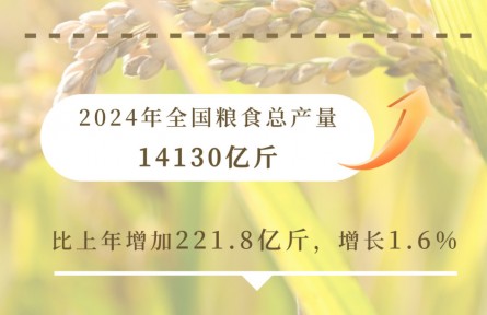 九個維度看2024農(nóng)業(yè)領域交出亮眼成績單