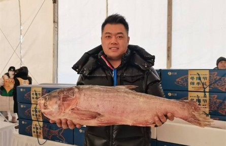 黑龍江：冰城冷水魚以質領“鮮”，成冰雪季餐桌一道“大菜”