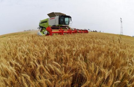湖北襄陽：2024年糧食產量94.73億斤 實現(xiàn)夏糧“三增”