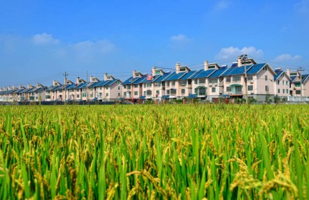 浙江嘉興：農民“錢袋子”連續(xù)21年領跑全省