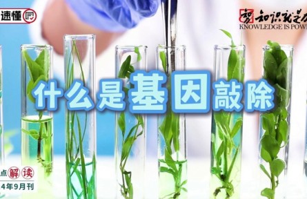 科普 | 什么是基因敲除？