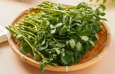 它被國外評為最具營養(yǎng)活力的蔬菜，但我打賭90%的人沒吃過