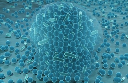 科技名詞|生物膜 biological membrane；biomembrane