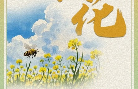 油菜花哪里賞？快收下這份油菜花賞花氣象指南！