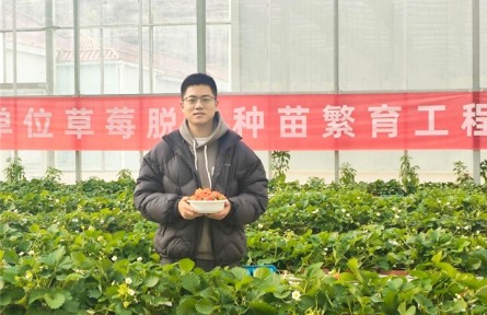 選調(diào)生于達(dá)程：像一顆草莓，把酸澀釀成甘甜