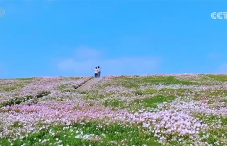 農(nóng)業(yè)農(nóng)村部推出“美麗鄉(xiāng)村游”60條精品線路 有何“亮點(diǎn)”？