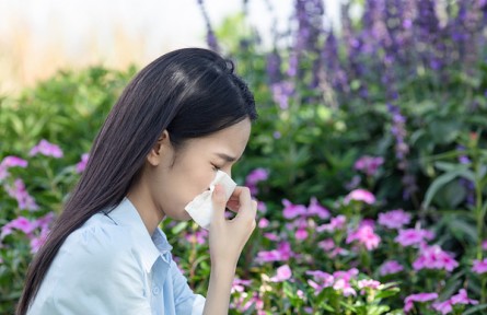 辟謠|對花粉過敏的人不能賞花？
