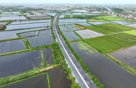 湖北江陵：小龍蝦“鏈”出大產(chǎn)業(yè)！繪就農(nóng)業(yè)發(fā)展新圖景