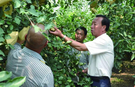 楊雙牛：40年深耕，石頭縫里長出億元產(chǎn)業(yè)