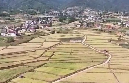 【在希望的田野上·三夏時節(jié)】各地?fù)屪ハ氖障姆N 夯實(shí)糧食豐收基礎(chǔ)