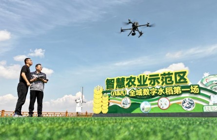 科技賦能解鎖插秧“新姿勢(shì)”