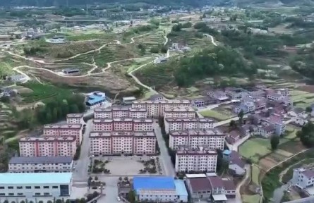 陜西安康：新模式助推蠶桑產(chǎn)業(yè)提質增效