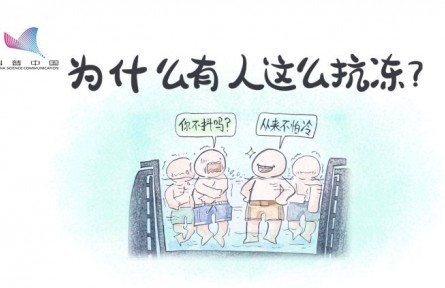 真的有人更不怕冷嗎？原來是骨骼肌中缺少一種蛋白