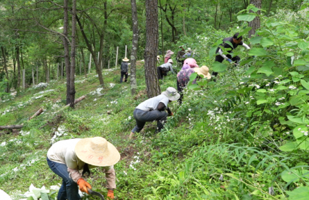 湖北?？担毫窒陆?jīng)濟(jì)產(chǎn)值突破9億元