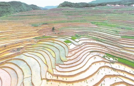 貴州六盤水：“三夏”生產(chǎn)念好“良”字訣