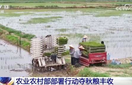 全力以赴打牢秋糧豐收基礎(chǔ) 奮戰(zhàn)100天防汛抗災(zāi)、抓夏管、提單產(chǎn)