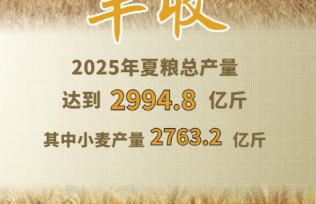 今年全國夏糧獲得豐收 總產(chǎn)量達(dá)2994.8億斤